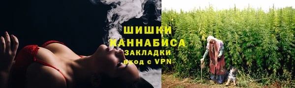 PSILOCYBIN Богданович